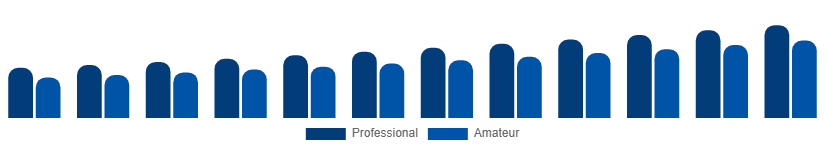 Mexico Musical Instruments Market End Use 2025-2033