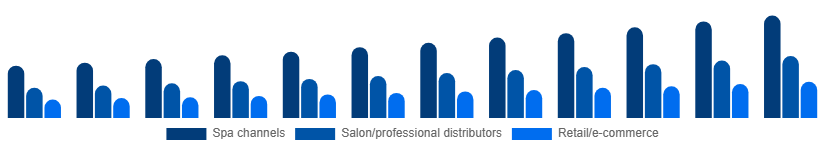 Mexico Spa Products Market Distribution 2025-2033