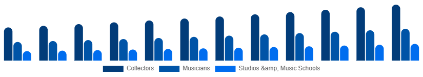 Mexico Vintage Guitars Market Application 2025-2033