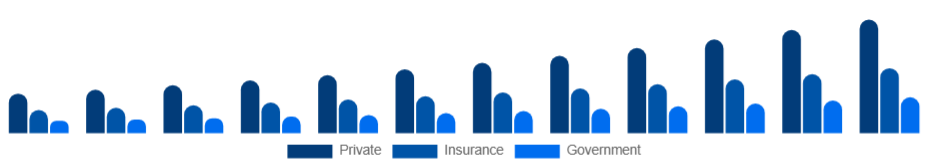 Middle East And Africa Air Ambulance Services Market Payer 2025-2033