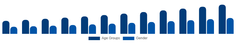Middle East And Africa Digital Games Market Gamer Demographics 2025-2033