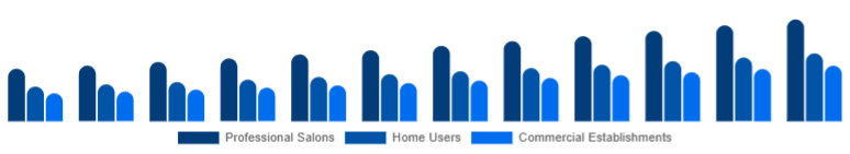 Middle East And Africa Hair Care Devices Market End-User 2025-2033