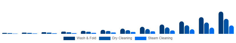 Middle East And Africa Online Laundry Service Market Service Type 2025-2033