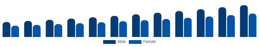 Middle East And Africa Private Label Cosmetics Market End User 2025-2033