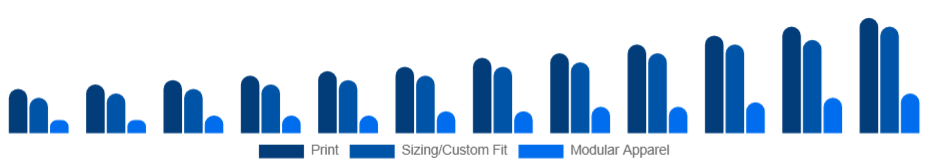 Nigeria Customizable Clothing Market Personalization Type 2025-2033