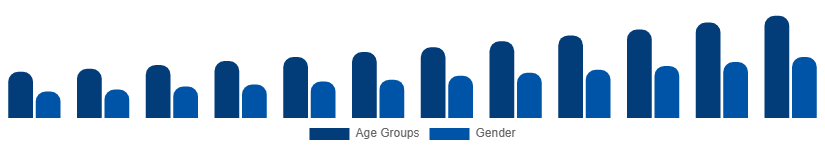 Nigeria Digital Games Market Gamer Demographics 2025-2033