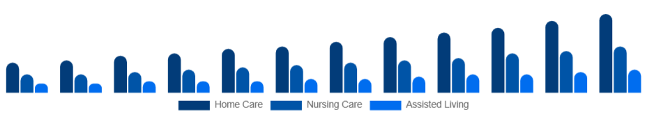 Nigeria Elderly Care Market Service Type 2025-2033