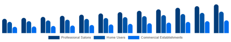 Nigeria Hair Care Devices Market End-User 2025-2033