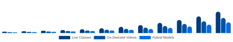 Nigeria Online Fitness Market Service Type 2025-2033