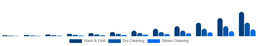 Nigeria Online Laundry Service Market Service Type 2025-2033