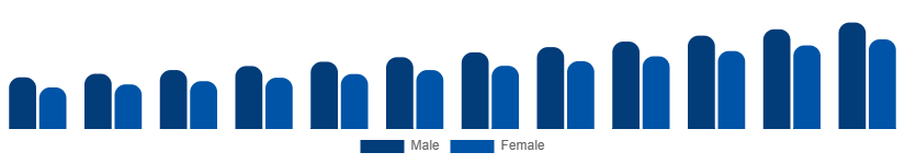 Nigeria Private Label Cosmetics Market End User 2025-2033