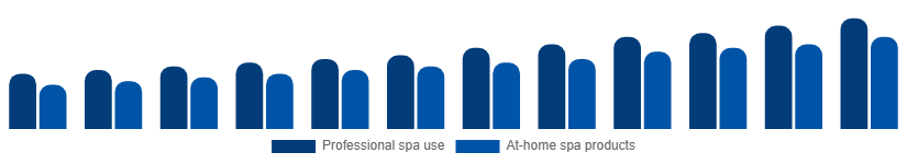 Nigeria Spa Products Market End-user 2025-2033