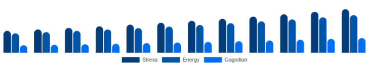 Nordic Adaptogens Market Application 2025-2033