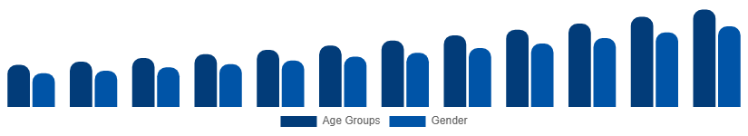 Nordic Digital Games Market Gamer Demographics 2025-2033