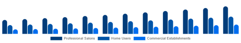 Nordic Hair Care Devices Market End-User 2025-2033