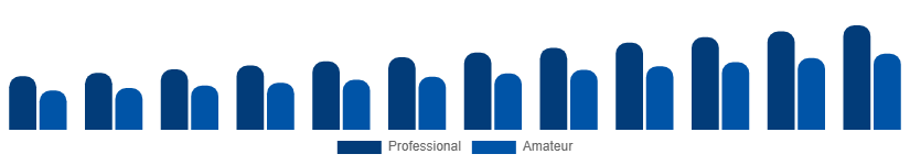 Nordic Musical Instruments Market End Use 2025-2033