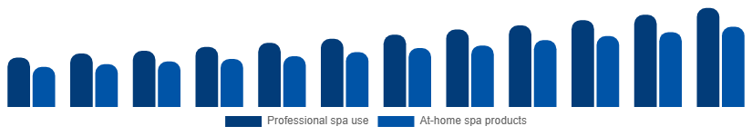 Nordic Spa Products Market End-user 2025-2033