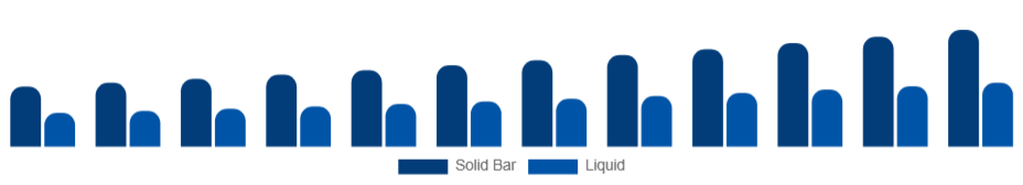 North America Bathing Soap Market Form 2025-2033