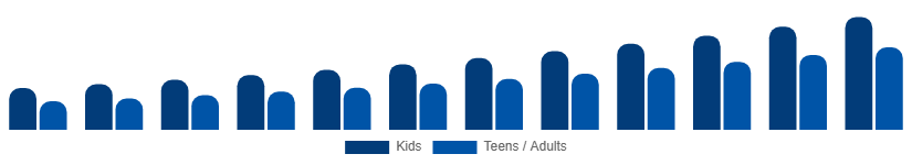 North America Board Games Market Age Group 2025-2033