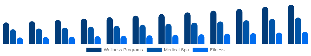 North America Destination Spa Market Service 2025-2033