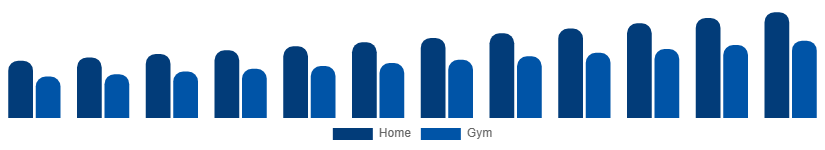 North America Fitness Equipment Market End Use 2025-2033