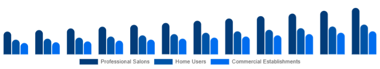 North America Hair Care Devices Market End-User 2025-2033