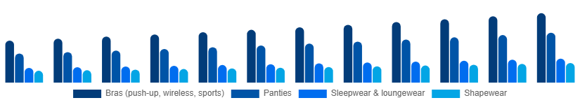 North America Intimate Lingerie Market Product Type 2025-2033