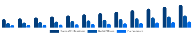 North America Organic Hair Color Market Distribution Channel 2025-2033