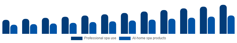 North America Spa Products Market End-user 2025-2033