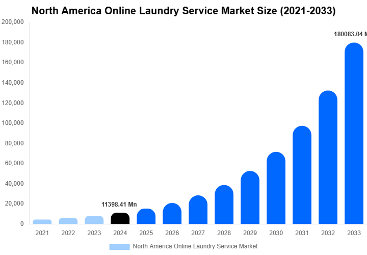 North America Online Laundry Service Market Size, Share & Growth Report By [2033]