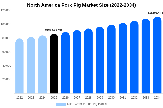 North America Pork Pig Market Size, Share Report By 2034