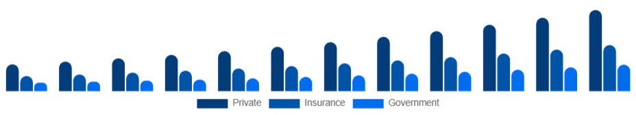 Russia Air Ambulance Services Market Payer 2025-2033