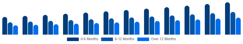 Russia Baby Pacifier Market Age Group 2025-2033