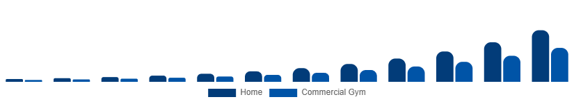 Russia Connected Gym Equipment Market End User 2025-2033