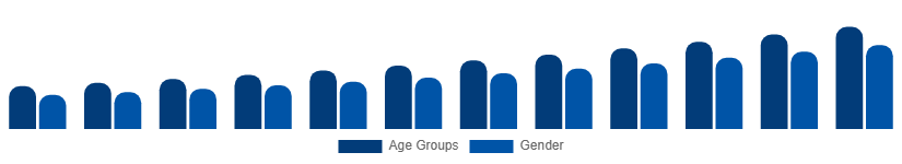 Russia Digital Games Market Gamer Demographics 2025-2033