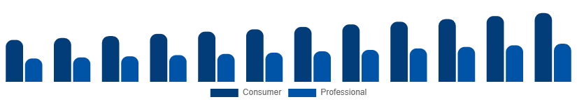 Russia DSLR Cameras Market Application 2025-2033
