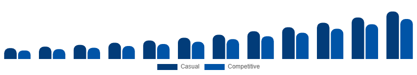 Russia Fantasy Sports Market User Type 2025-2033