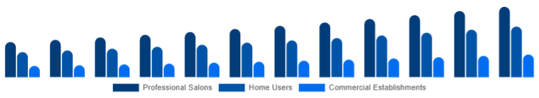 Russia Hair Care Devices Market End-User 2025-2033