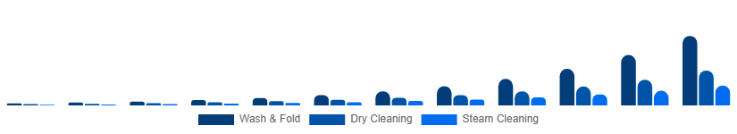 Russia Online Laundry Service Market Service Type 2025-2033