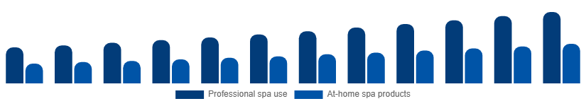 Russia Spa Products Market End-user 2025-2033