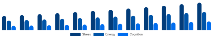 Saudi Arabia Adaptogens Market Application 2025-2033
