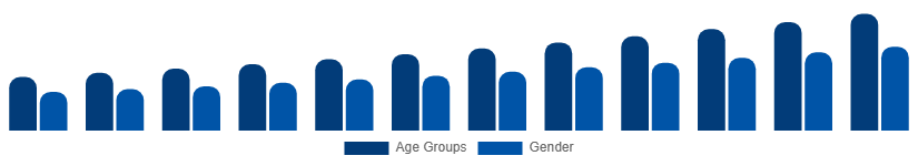 Saudi Arabia Digital Games Market Gamer Demographics 2025-2033