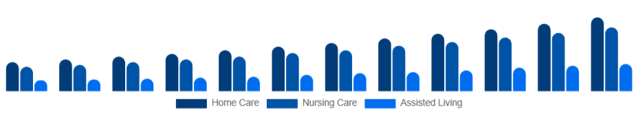 Saudi Arabia Elderly Care Market Service Type 2025-2033