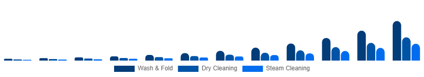 Saudi Arabia Online Laundry Service Market Service Type 2025-2033