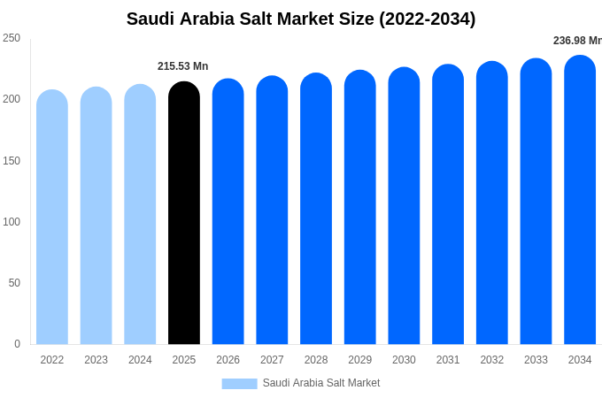 サウジアラビア 塩市場 市場規模レポート 2034年まで