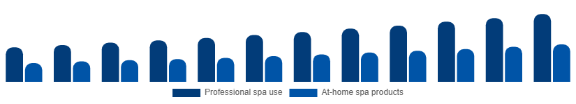 Saudi Arabia Spa Products Market End-user 2025-2033