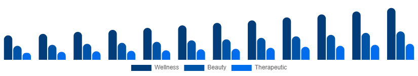 Saudi Arabia Spa Resort Market Service 2025-2033