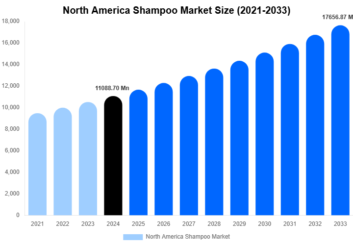 North America Shampoo Market Size Report By 2033