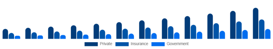 Singapore Air Ambulance Services Market Payer 2025-2033