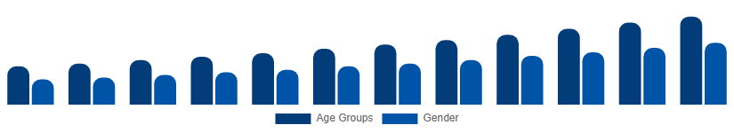 Singapore Digital Games Market Gamer Demographics 2025-2033